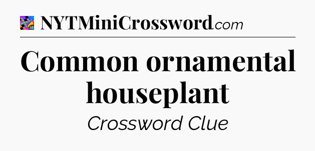 Common ornamental houseplant Crossword Clue