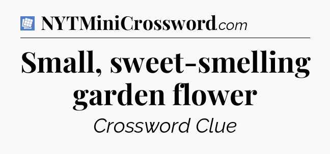 Small, sweet-smelling garden flower Puzzle Page Crossword Clue