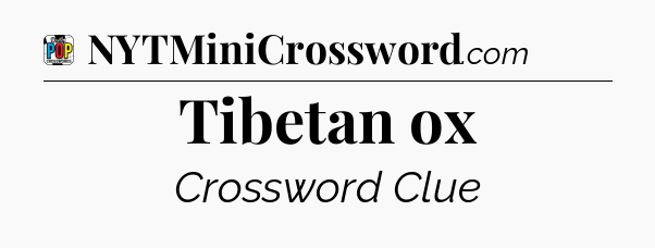 Tibetan ox Crossword Clue