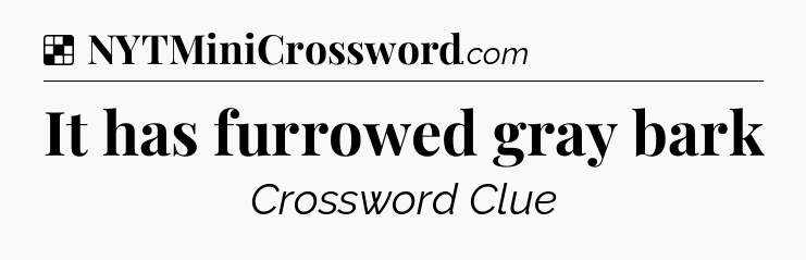 Solution: It has furrowed gray bark - NYT Crossword