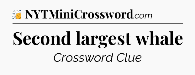 Second largest whale - 7 Little Words