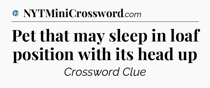 Pet that may sleep in loaf position with its head up Crossword Clue