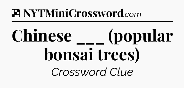 Solution: Chinese ___ (popular bonsai trees) - NYT Crossword