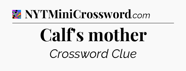 Calf's mother Crossword Clue
