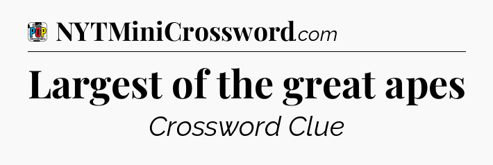 Largest of the great apes Crossword Clue
