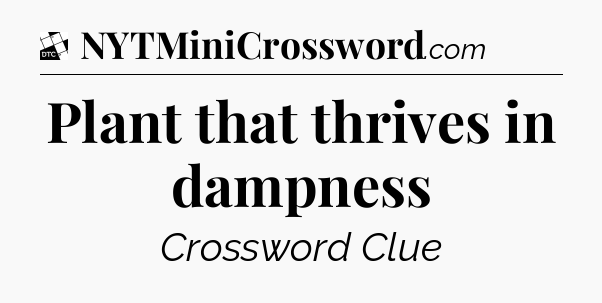Plant that thrives in dampness - Daily Themed Classic Crossword