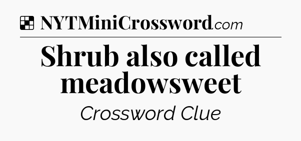 Solution: Shrub also called meadowsweet - NYT Crossword