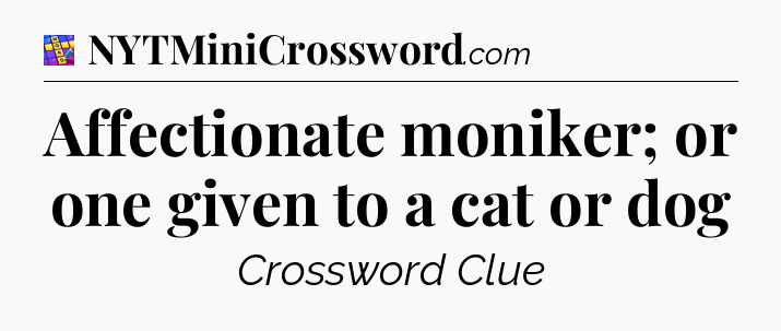 Affectionate moniker; or one given to a cat or dog Codycross