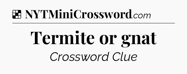Solution: Termite or gnat - NYT Crossword