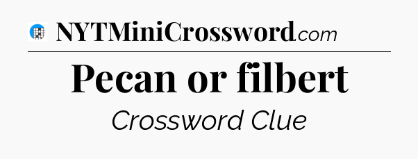 Pecan or filbert Crossword Clue
