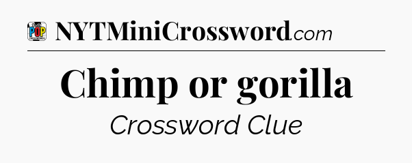 Chimp or gorilla Crossword Clue