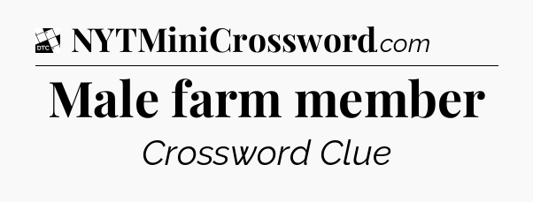 Male farm member - Daily Themed Classic Crossword