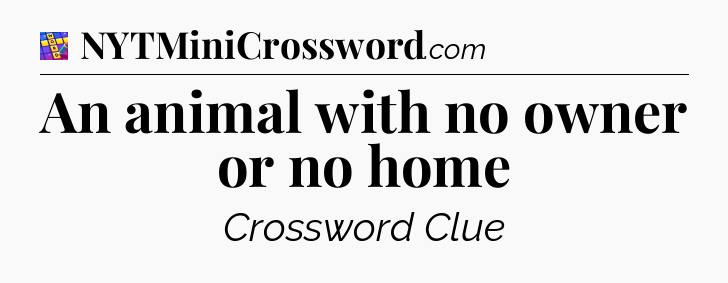 An animal with no owner or no home Codycross