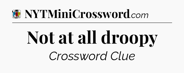 Not at all droopy Crossword Clue