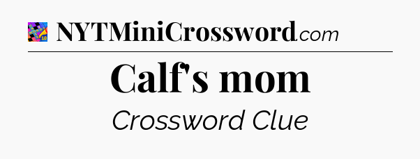 Calf's mom Crossword Clue