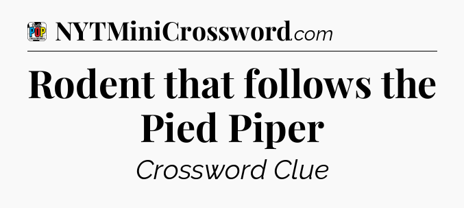 Rodent that follows the Pied Piper Crossword Clue