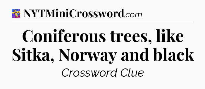 Coniferous trees, like Sitka, Norway and black Codycross