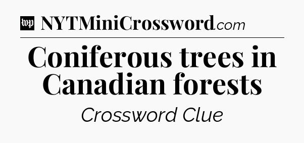 Coniferous trees in Canadian forests Crossword Clue