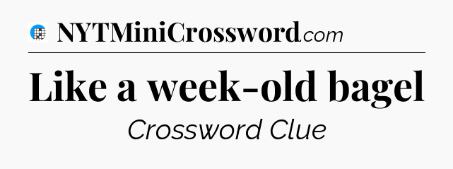 Like a week-old bagel Crossword Clue