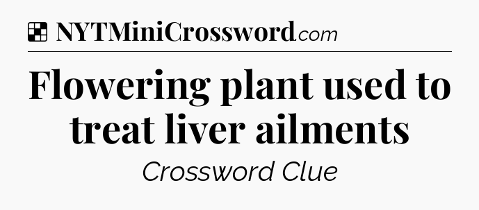 Solution: Flowering plant used to treat liver ailments - NYT Crossword