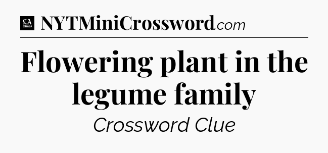 Flowering plant in the legume family - LA Times Crossword