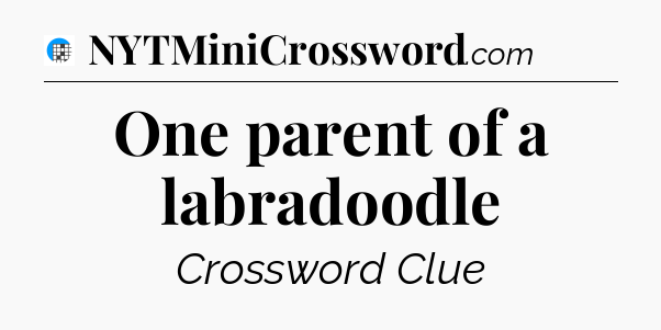 One parent of a labradoodle Crossword Clue