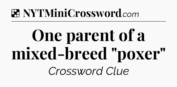 Solution: One parent of a mixed-breed 