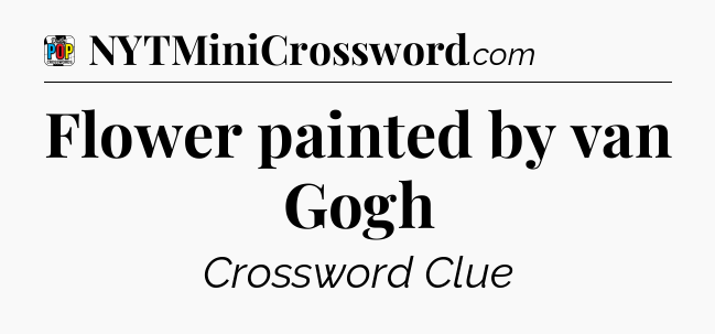 Flower painted by van Gogh Crossword Clue