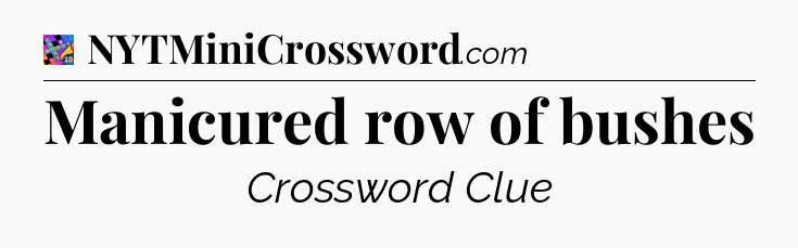 Manicured row of bushes Crossword Clue