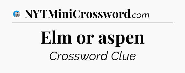 Elm or aspen Crossword Clue