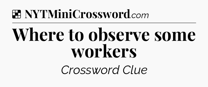 Solution: Where to observe some workers - NYT Crossword