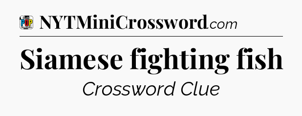 Siamese fighting fish Crossword Clue