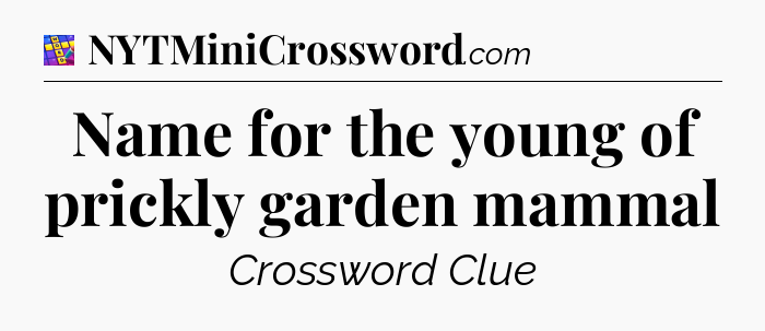 Name for the young of prickly garden mammal Codycross