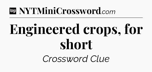 Engineered crops, for short Crossword Clue