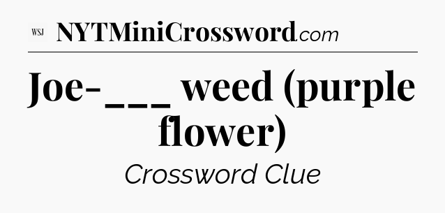 Joe-___ weed (purple flower) - WSJ Crossword