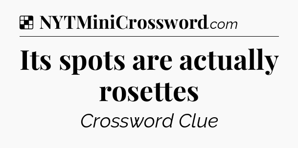 Solution: Its spots are actually rosettes - NYT Crossword