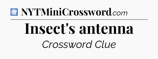 Insect's antenna Puzzle Page Crossword Clue