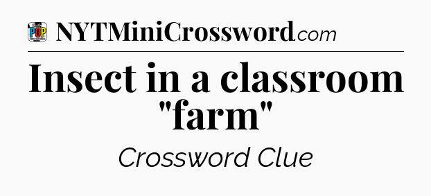 Insect in a classroom 