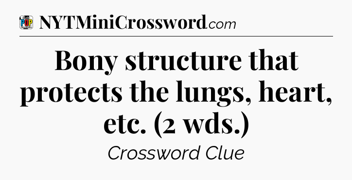 Bony structure that protects the lungs, heart, etc. (2 wds.) Crossword Clue