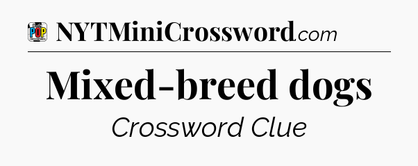 Mixed-breed dogs Crossword Clue