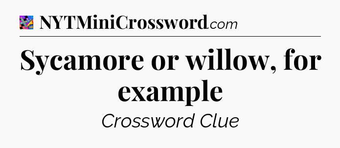Sycamore or willow, for example Crossword Clue
