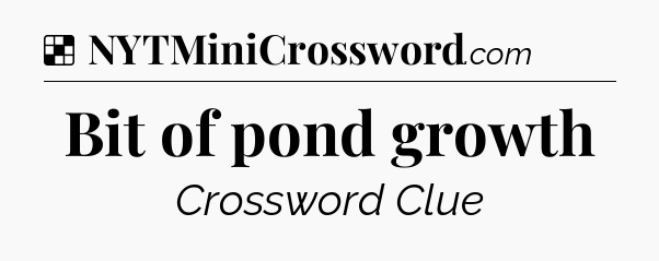 Solution: Bit of pond growth - NYT Crossword