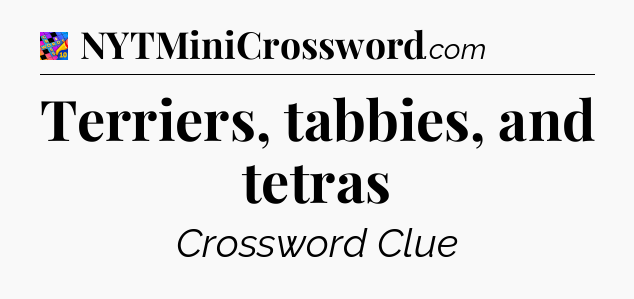 Terriers, tabbies, and tetras Crossword Clue