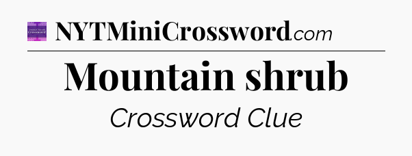 Mountain shrub - Thomas Joseph Crossword