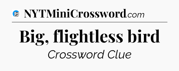 Big, flightless bird Crossword Clue