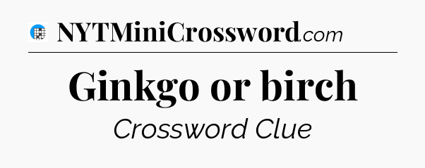 Ginkgo or birch Crossword Clue