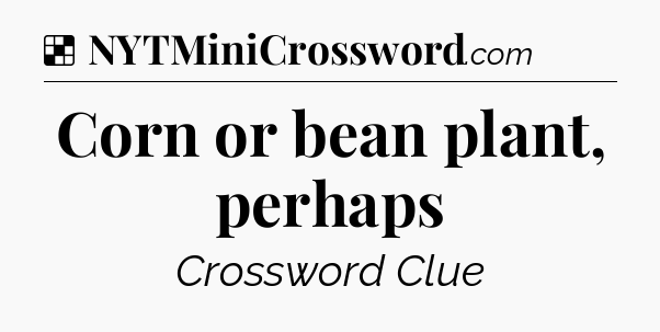 Solution: Corn or bean plant, perhaps - NYT Crossword