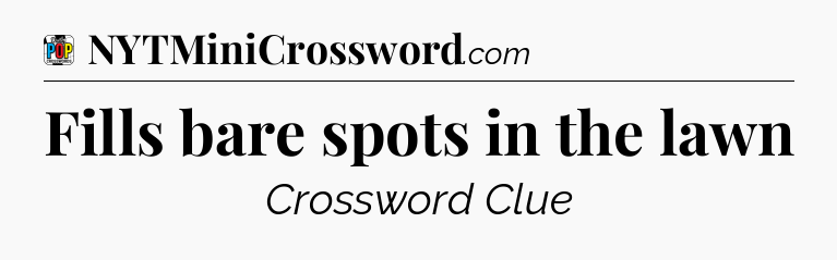 Fills bare spots in the lawn Crossword Clue