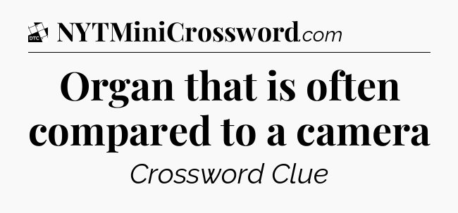 Organ that is often compared to a camera - Daily Themed Classic Crossword