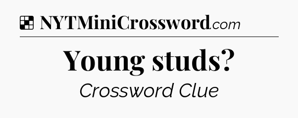Solution: Young studs - NYT Crossword